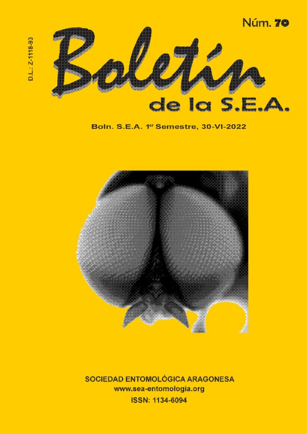 Boletín 70